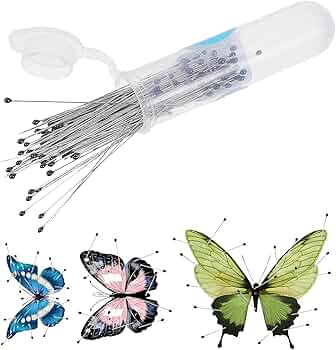 昆虫標本40匹セット　※A品B品 71KREEOHF3L._AC_UF350,