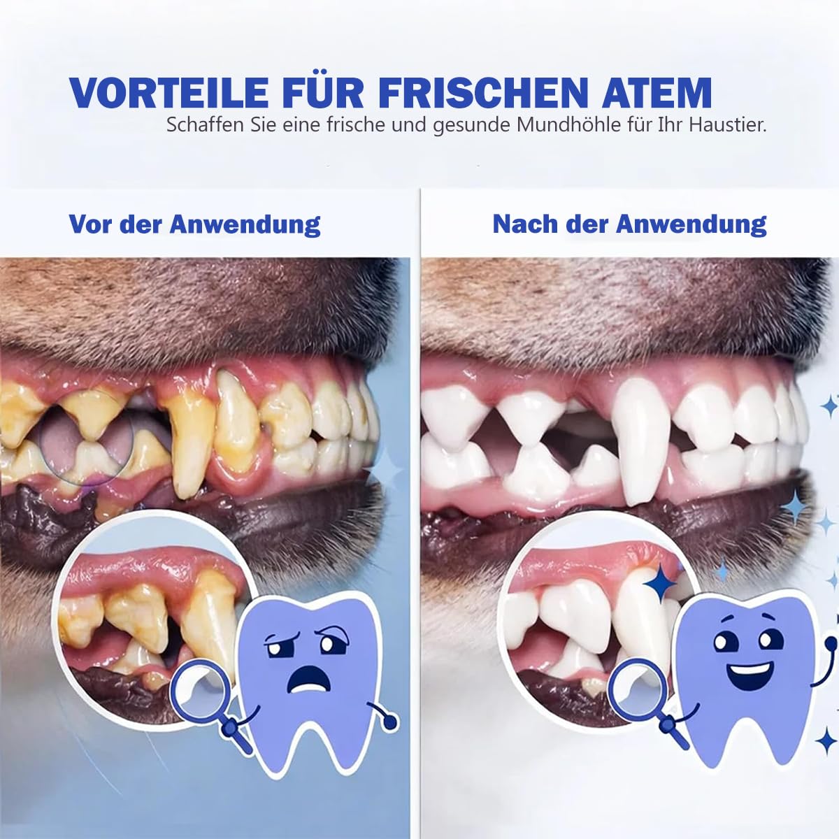 Paw Bright Dental Plus Zahnpflege für Haustiere geruchs und geschmacksneutrale Formel zur Bekämpfung von Zahnstein fördert gesundes Zahnfleisch und erfrischt den Atem (200ml*3)