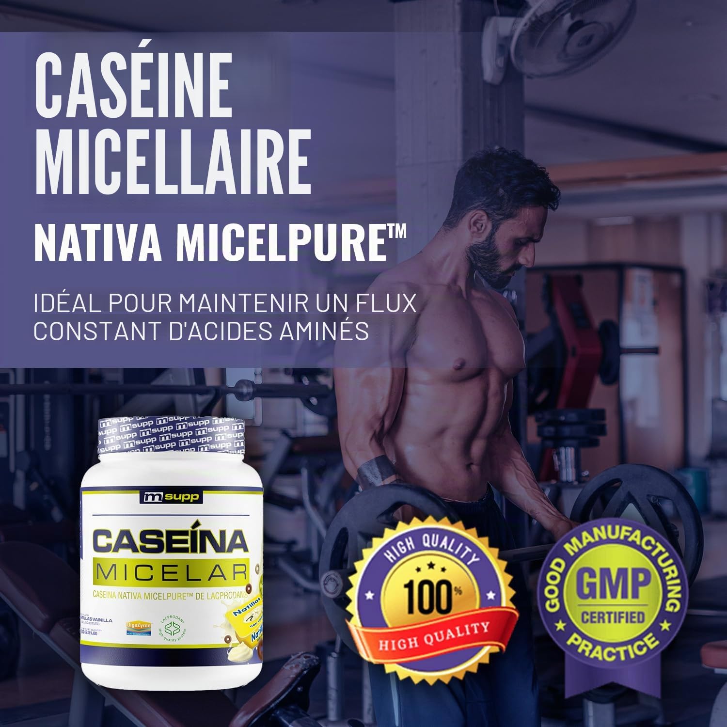 Masmusculo - Caséine Micellaire 1 kg - Protéine de Caséine - Masse Musculaire - Libération Prolongée d’Acides Aminés - Récupération Post-Entraînement - Goût Custard