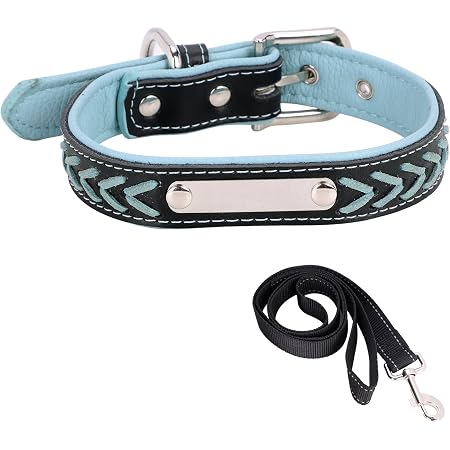 Amazon 犬 首輪 猫 首輪 オーダーメイド ペット首輪 革製 ステンレス Idプレート ドッグタグ 犬用 迷子札 名札カスタム レーザー彫刻 名前 電話番号など刻印可能 セーフティ 安全首輪 小型犬 中型犬 大型犬首輪 散歩 リード付き首輪 かわいい プレゼント ブルー Lontg Amazon 犬 首輪 猫 首輪 オーダーメイド ペット首輪 革製 ステンレス Idプレート ドッグタグ 犬用 迷子札 名札カスタム レーザー彫刻 名前 電話番号など刻印可能 セーフティ 安全首輪 小型犬 中型犬 大型犬首輪 散歩 リード付き首輪 かわいい プレゼント ブルー Lontg