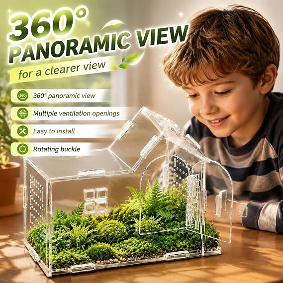 Jumping Spider Enclosure, Mantis Enclosure, Stick Insect Enclosure, Acrylic Feeding Box Snail, Praying Mantis, Frog, Acrylic Transparent Insect Habitat Terrarium Case