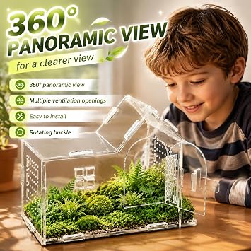 Jumping Spider Enclosure, Mantis Enclosure, Stick Insect Enclosure, Acrylic Feeding Box Snail, Praying Mantis, Frog, Acrylic Transparent Insect Habitat Terrarium Case