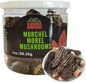 VIGOROUS MOUNTAINS Wild Dried Morel Mushrooms 1 Ounce Morchella Conica 2-4cm Size 1 Oz Sealed Jar Premium Grade AAA