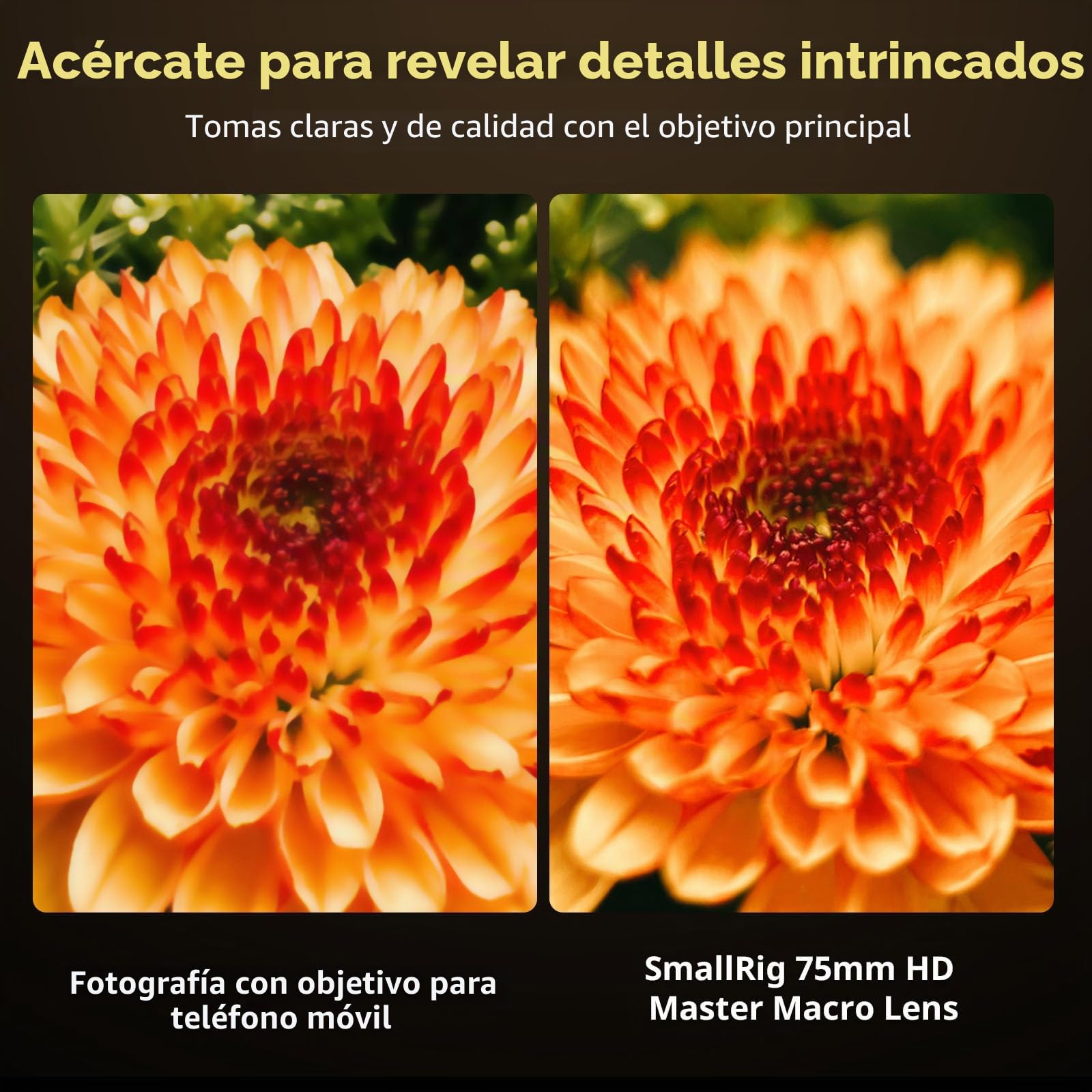 SMALLRIG Lente Macro Maestra HD de 75mm, Lente con T-Mount para iPhone, Samsung, Huawei, Xiaomi, Accesorio de Lente de Cámara de Teléfono para Fotografía Macro - 4588