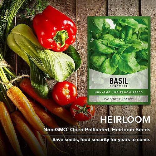 Miniatura 7 de Gardeners Basics Semillas de albahaca genovesa para plantar semillas de hierbas tradicionales sin OMG para el jardín de hierbas caseras son un gran