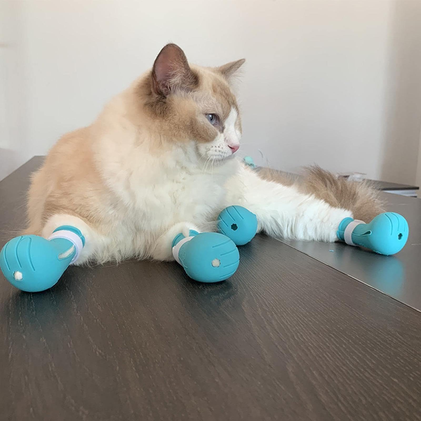 Amazon | 猫用キャットブーツ アンチスクラッチ猫足カバー 4 個セット 