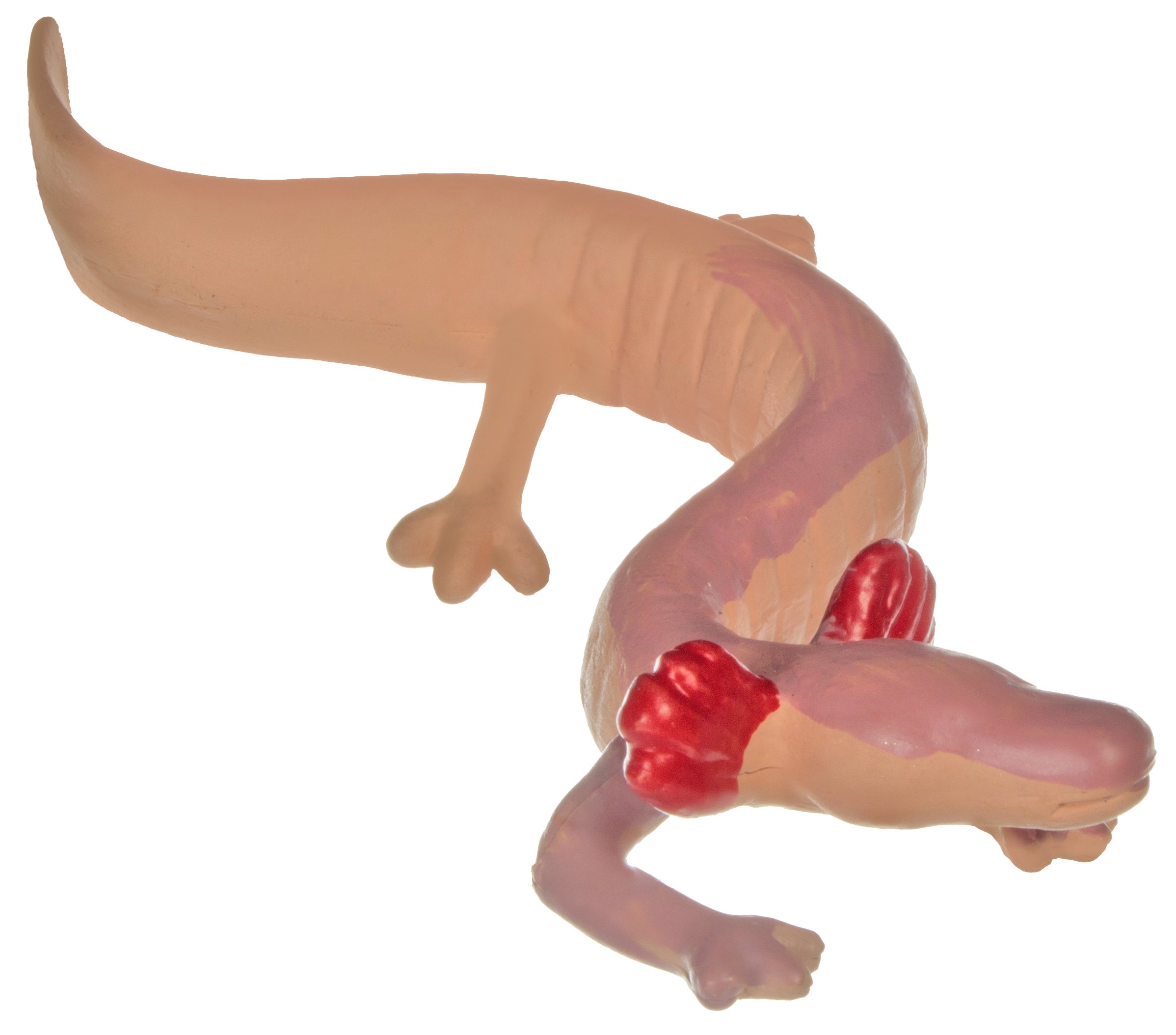 Toob Caver Dwellers miniatury (wielokolorowe)
