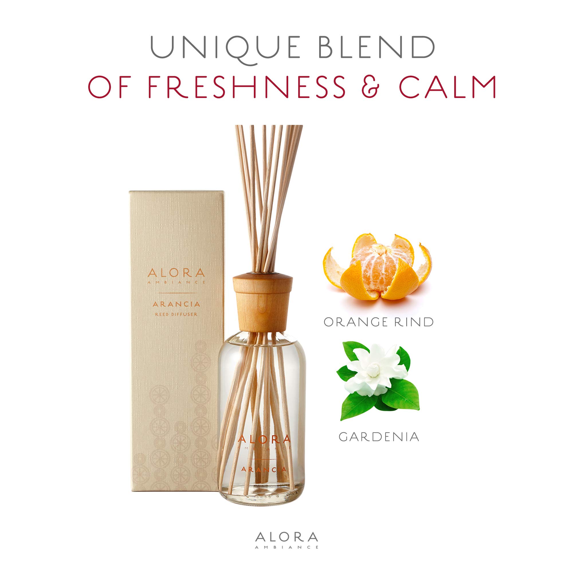 Amazon.com: Alora Ambiance Arancia Glass Reed Diffuser Set, Orange