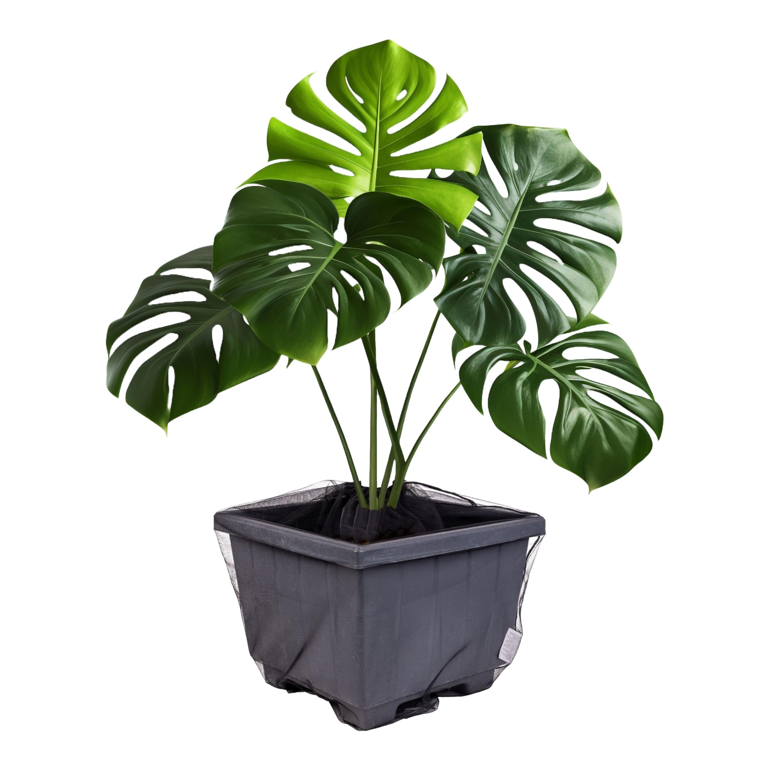 Sécurité Enfants pour Plantes d'intérieur, 2 pcs, pour Pots de Fleurs jusqu'à Ø 30 cm, en Nylon Noir, Filet de Protection des Plantes sécurité bébé Contre la Terre, Les Engrais