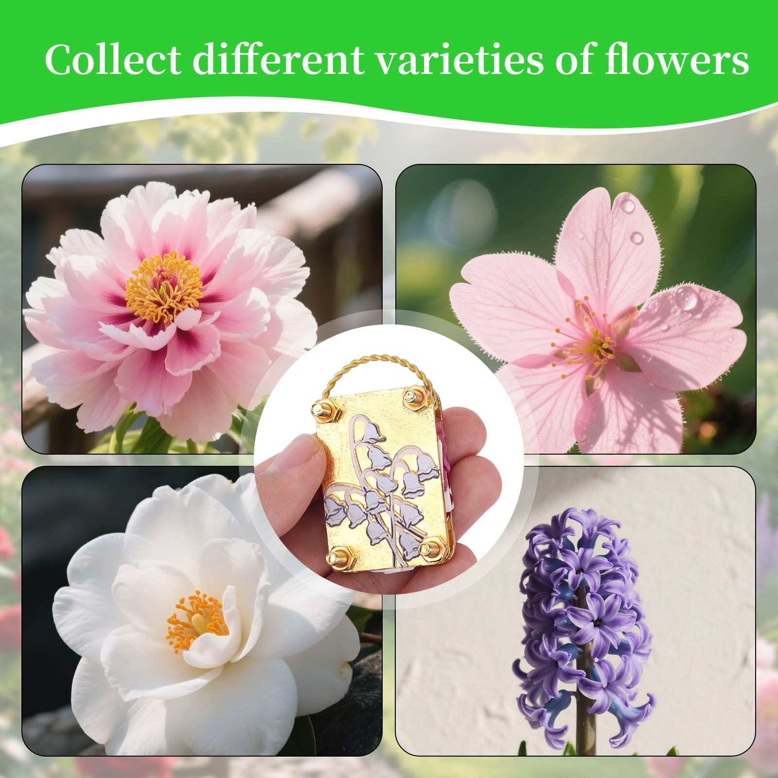 BOXOB Mini Flower Press - Image 3