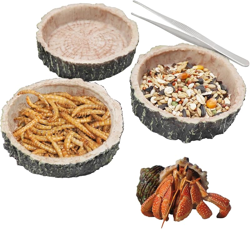 Paquete de 3 cuencos de agua para reptiles, plato de comida de cangrejo ermitaño con pinzas de alimentación, cuenco de agua de dragón barbudo, adecuado para cangrejo ermitaño, lagarto, gecko, tortuga, rana, leopardo, gecko con cresta