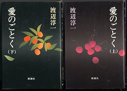 愛のごとく　上・下（渡辺淳一）