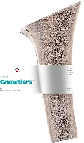 Gnawtlers - Cuernos de alce divididos de primera calidad para perros, cuernos de alce naturalmente para perros, masticables de cornamenta dividida