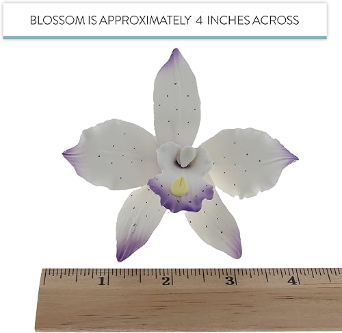 Miniatura 6 de Global Sugar Art Brassavolaelio - Flores de orquídea para pastel de azúcar, color blanco con violeta, 3 unidades por el chef Alan Tetreault