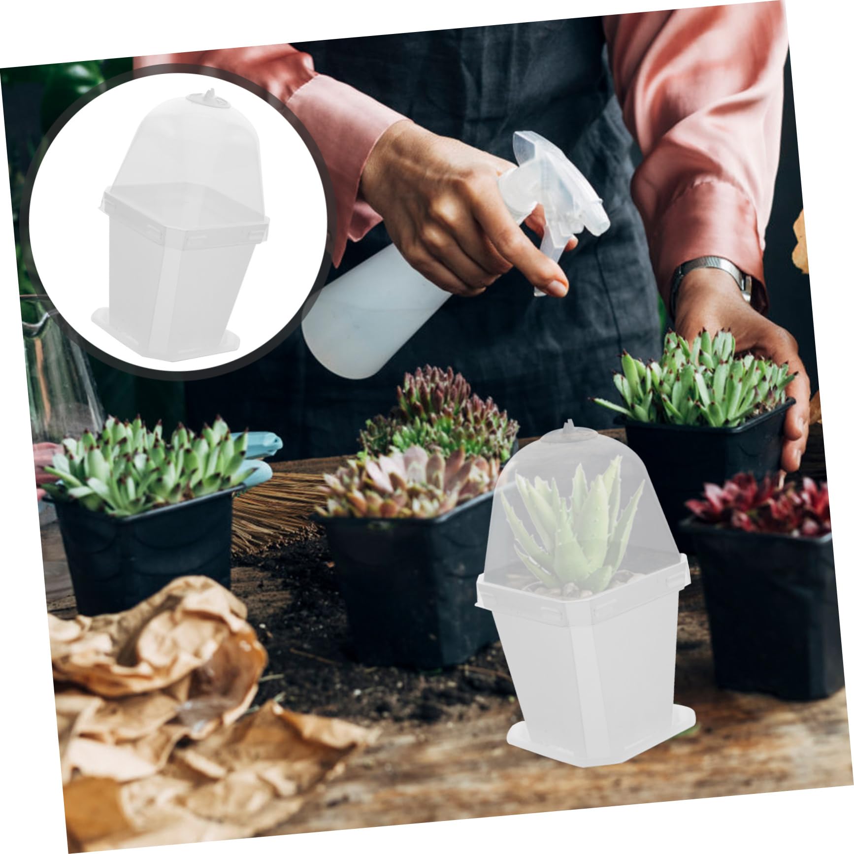 Happyyami 10 Piezas Macetas de Plástico con Tapa y Drenaje Contenedores para Jardín Macetas Transparentes para y Verduras