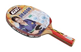 GKI Dragon Table Tennis Racquet