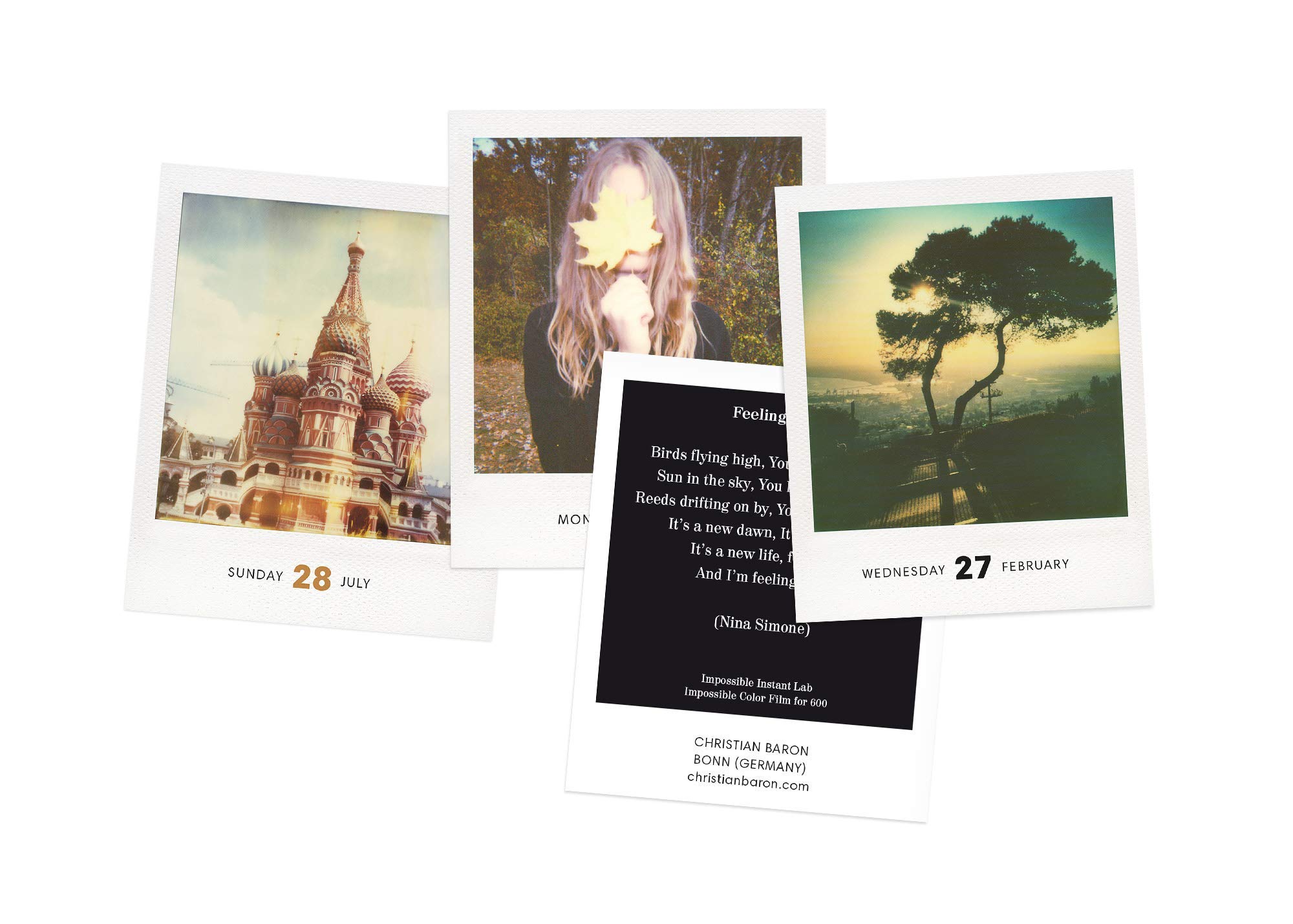 Photodarium 2019: Every Day a new Instant Photo: A Calendar For 2019 With 365 Instant Photos: 8