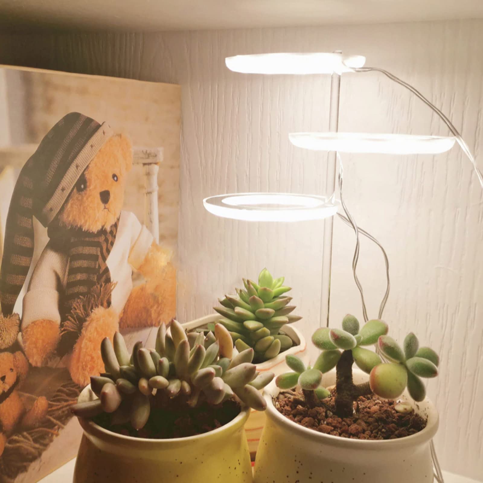 Luce Per Coltivazione Di Piante Da Interno A LED Spettro Completo Premium Regolabile In Altezza Dimmerazione A 4 Livelli Timer 2/4/8 Ore Perfetto Per La Cura Delle Piccole Piante - Foto 2