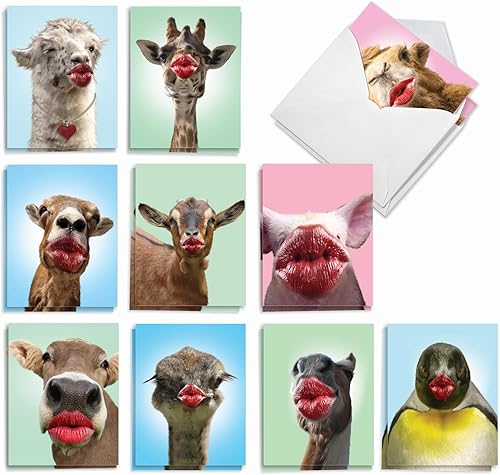 The Best Card Company Juego surtido de tarjetas de felicitación en blanco, incluye 20 tarjetas + sobres, 10 diseños únicos, perfecto para