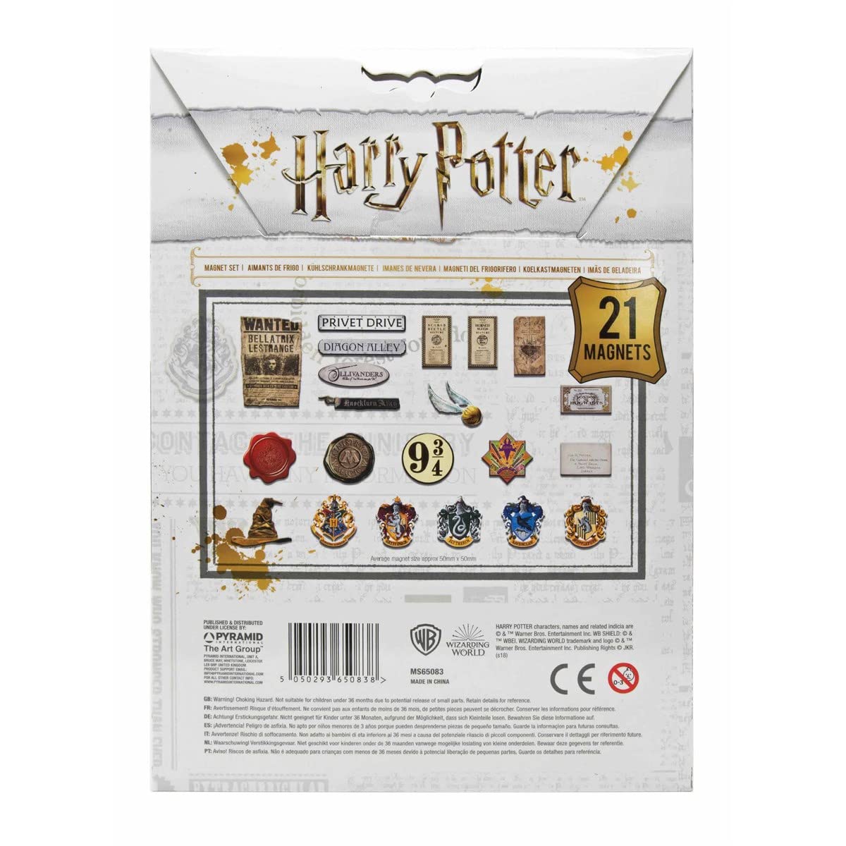 HARRY POTTER (CORE) MAGNET SET