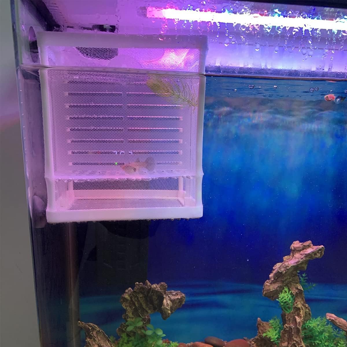 Scatola Di Allevamento Di Pesci,Incubatore Di Pesce Scatola,Isolamento Allevatore Di Pesci,Acquario Serbatoio Da Incubazione,Maglia Per Acquario Con Ventosa,Vivaio Di Pesci Acquario Rete,Kiuiom
