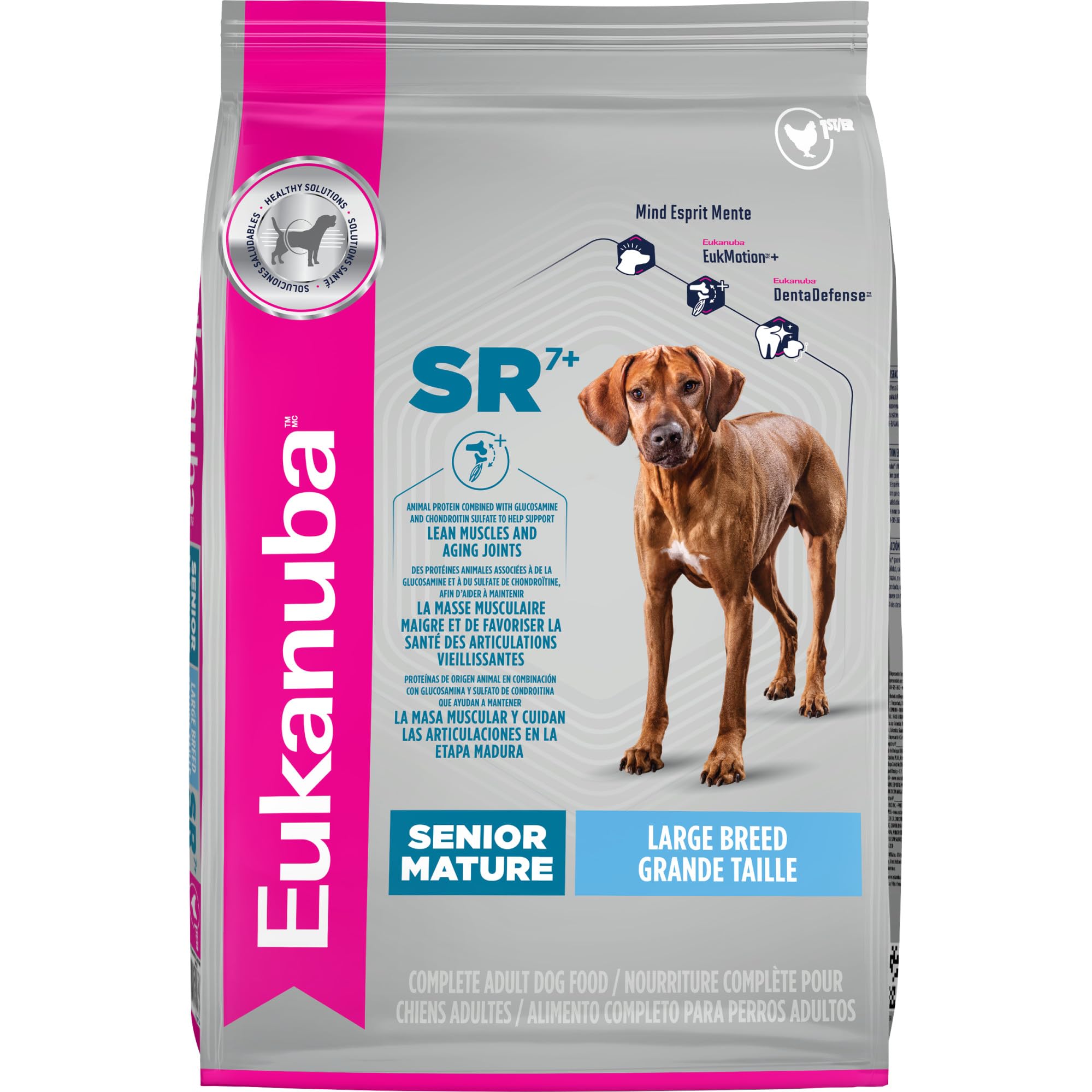 Eukanuba Senior Large Breed