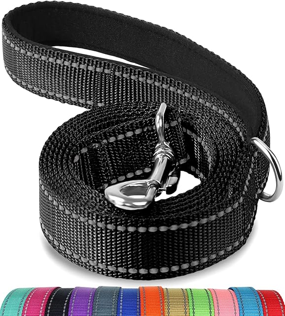 Joytale Padded Handle Dog Lead,Double-Sided Reflective Nylon Dogs Leads for Training,Walking Leash for Small, Medium Dogs, 1.2m × 2cm, Black