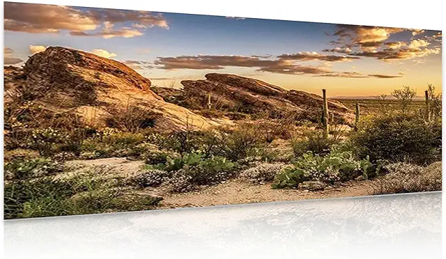 Terrarium Back Wall Background Poster 3D Desert Landscape with Cacti 120x50cm