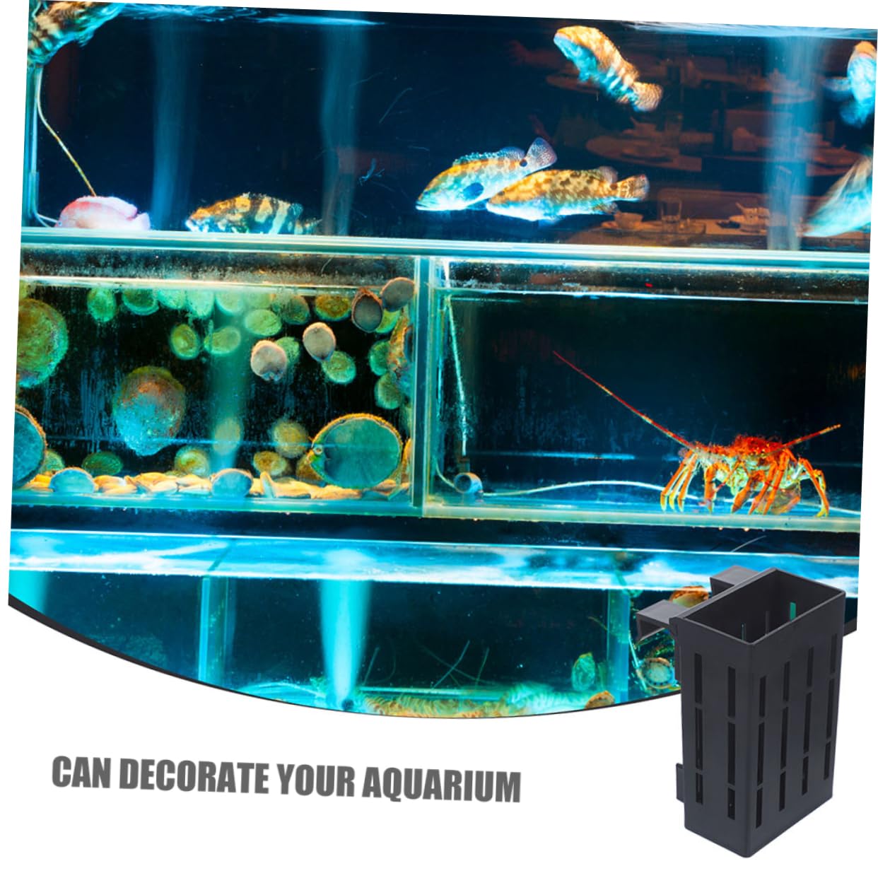 HANABASS 12stücke Aquarium Pflanzenhalter Hängende Töpfe Für Wasserpflanzen Robuste Und Langlebige Plastikstruktur Für Aquarien Und Hydroponik-Dekoration
