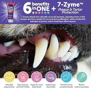 メイ☆KINS WITH DENTAL GEL for dogs Amazon.com : Pet King Brands ZYMOX Oratene Brushless