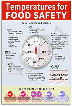 GHJFDF Wall Poster Temperature for Food Safety Poster Poster for Room Aesthetic Posters 12x18inch30x45cm