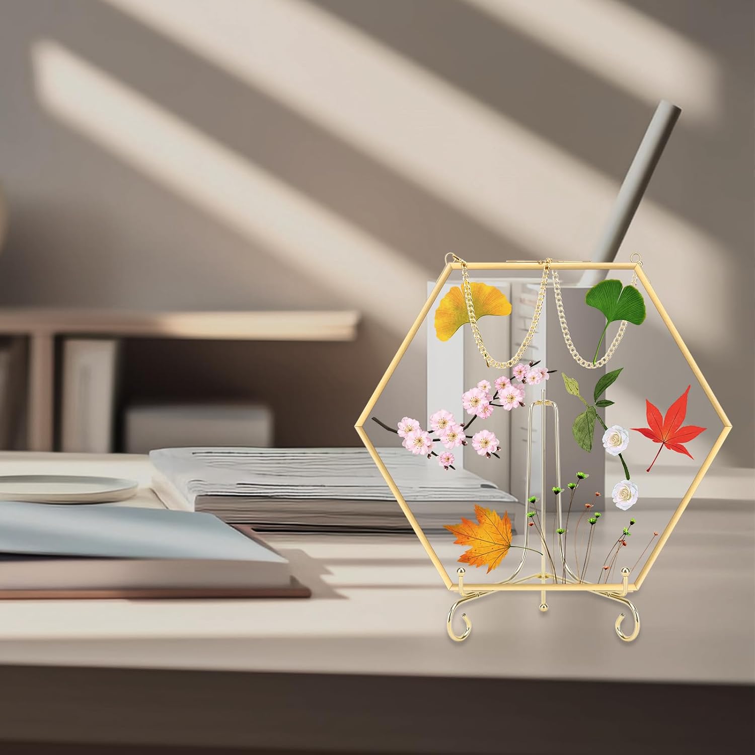 Gold Glass Frame for Coin Display, Hanging Coin Collecting Holders, Currency Dollar Bill Collection Supplies Holders for Collectors, Double Glass Piggy Bank (L)