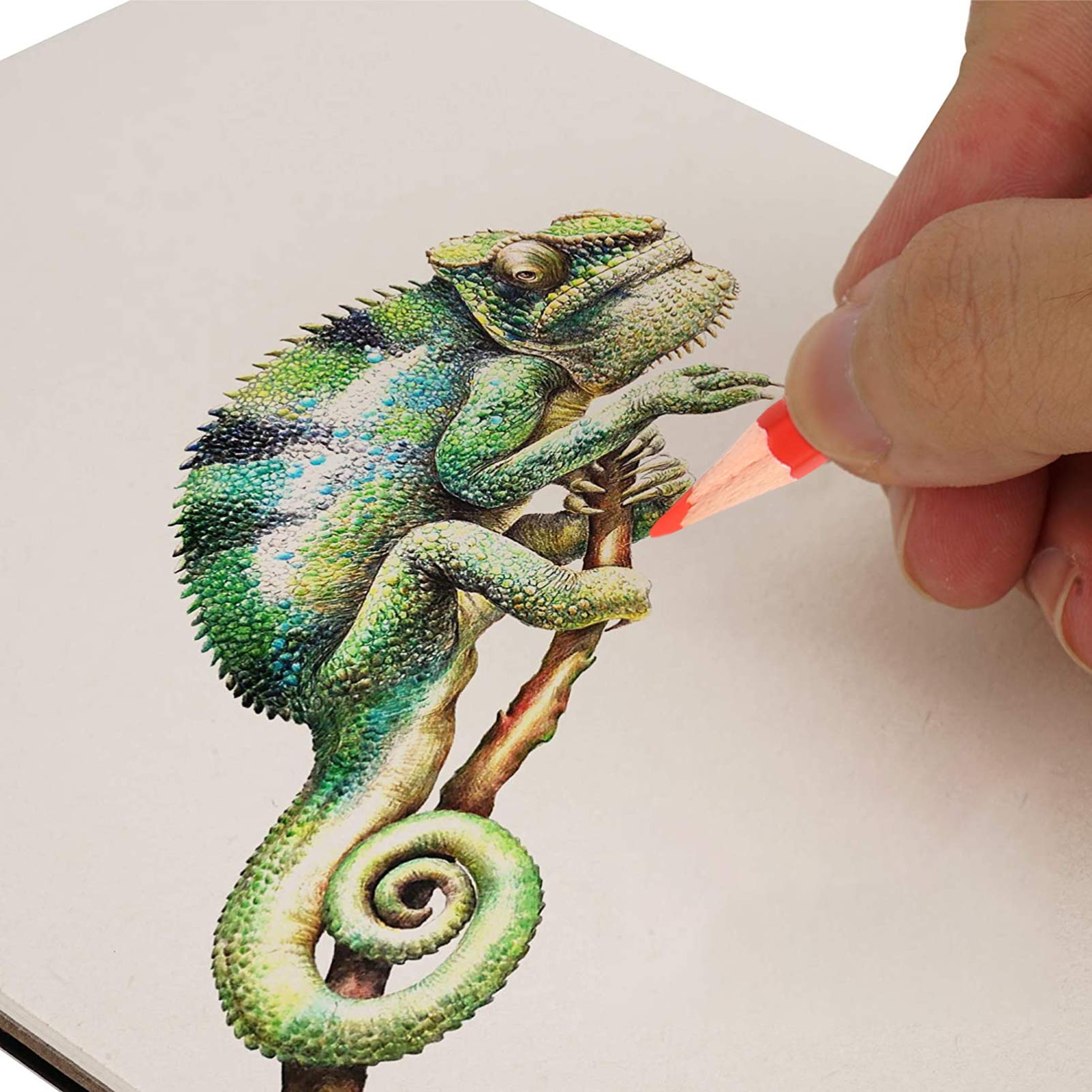 NUOBESTY Matite Colorate Per Disegno e Schizzi Forniture Artistiche Numerazione Indipendente Resistente e Pratica Colori Vivaci e Non Sbiadiscono Facilmente