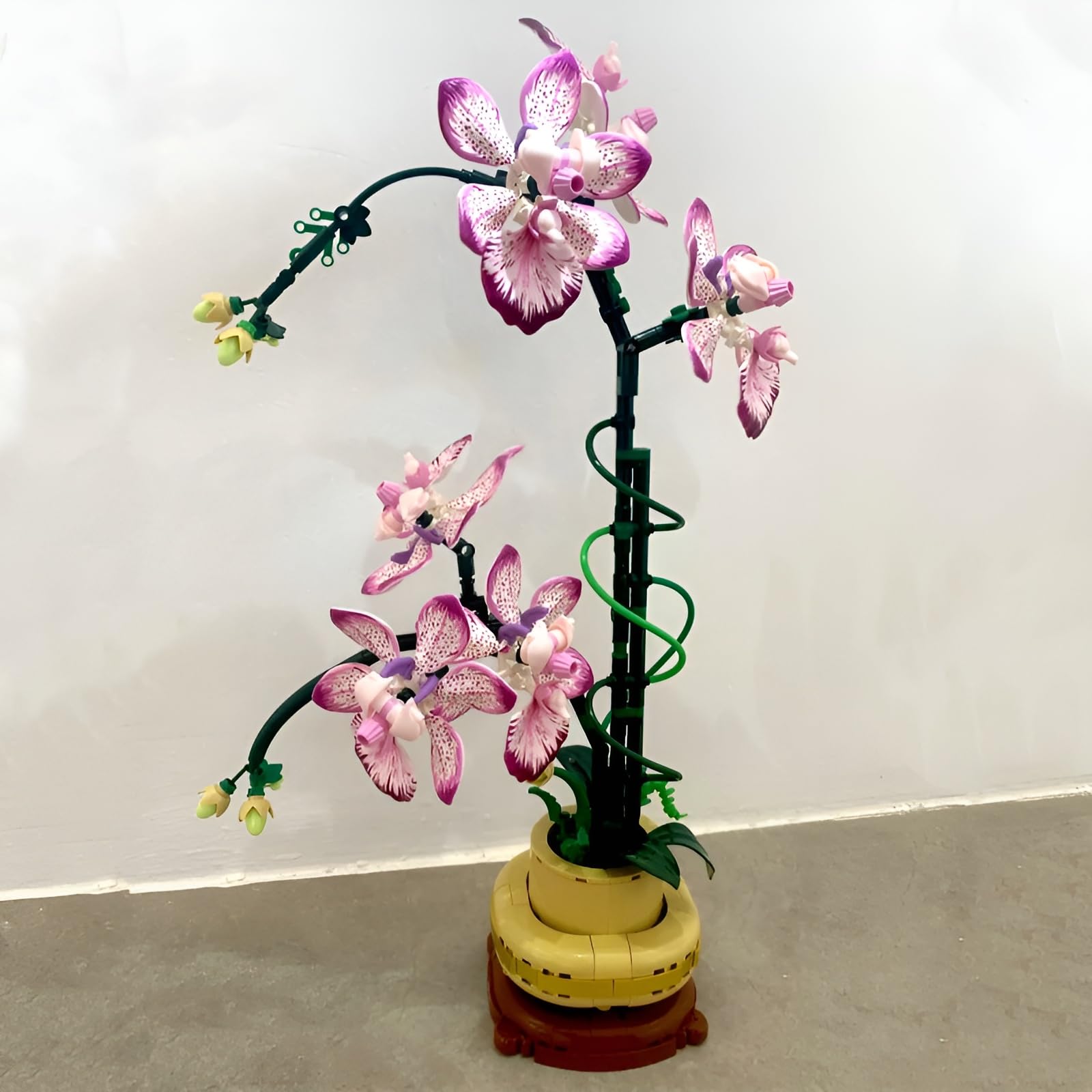 Set di mattoncini per costruzioni di fiori di orchidea, 696 pezzi di pianta artificiale in fiori giocattolo, kit di mattoncini modello collezione botanica per decorazione della casa, grandi regali per