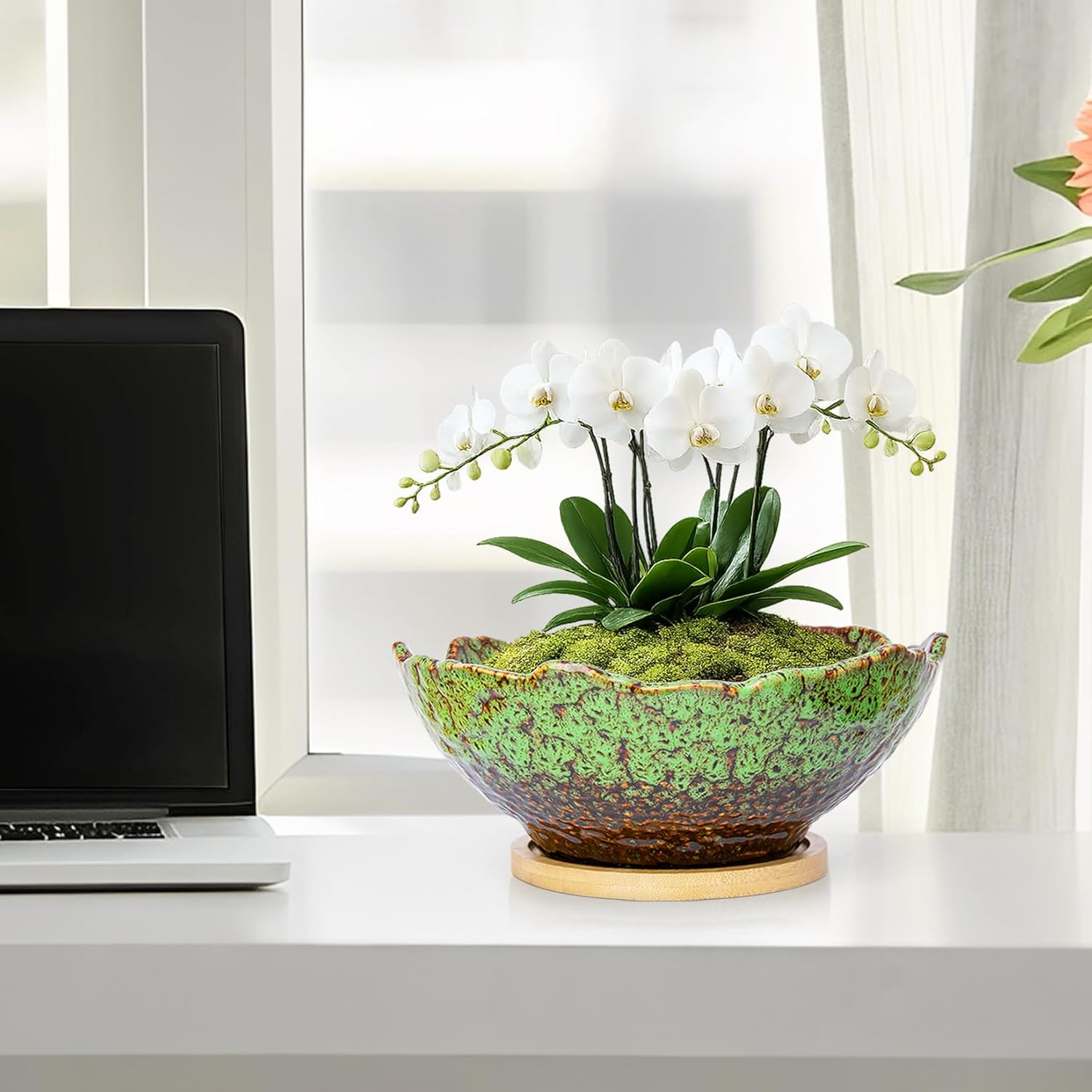 ARTKETTY Bonsai Pots, 9.06 Inch Succulent Pots with Drainage and Saucer, Ceramic Pots for Indoor Cactus Plants Unique Flower Plant Pots Round Bonsai Tree Planters Windowsill Desk Decor