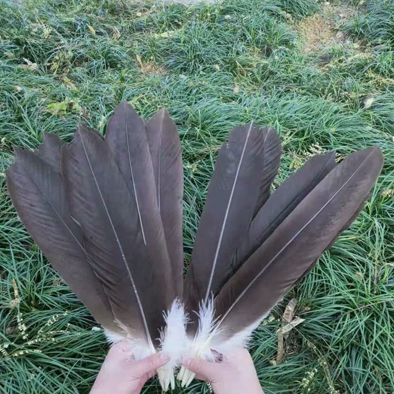 10 STÜCK, Adlerfedern, Schwanzfedern 40-50 cm aus natürlichen Steinadlerfedern - Standard