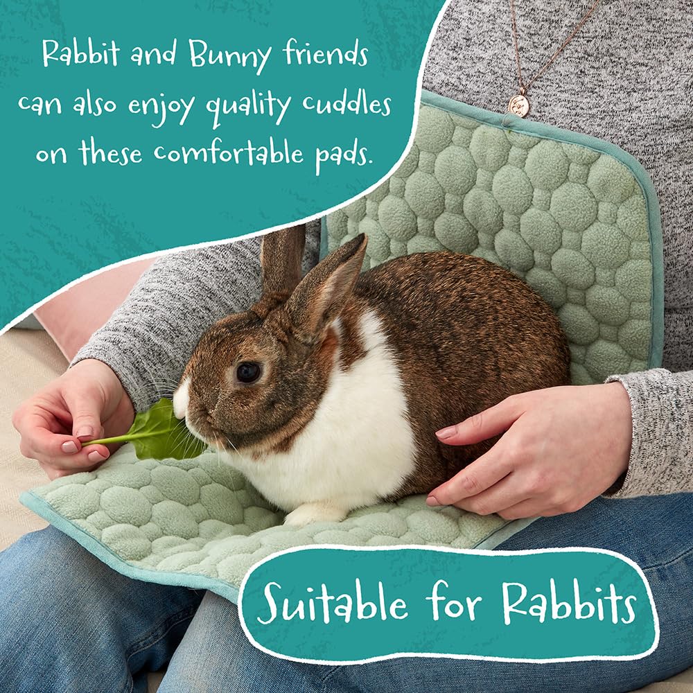 10 Pezzi Coperte Per Porcellini D'India Fodere Per Gabbia In Pile