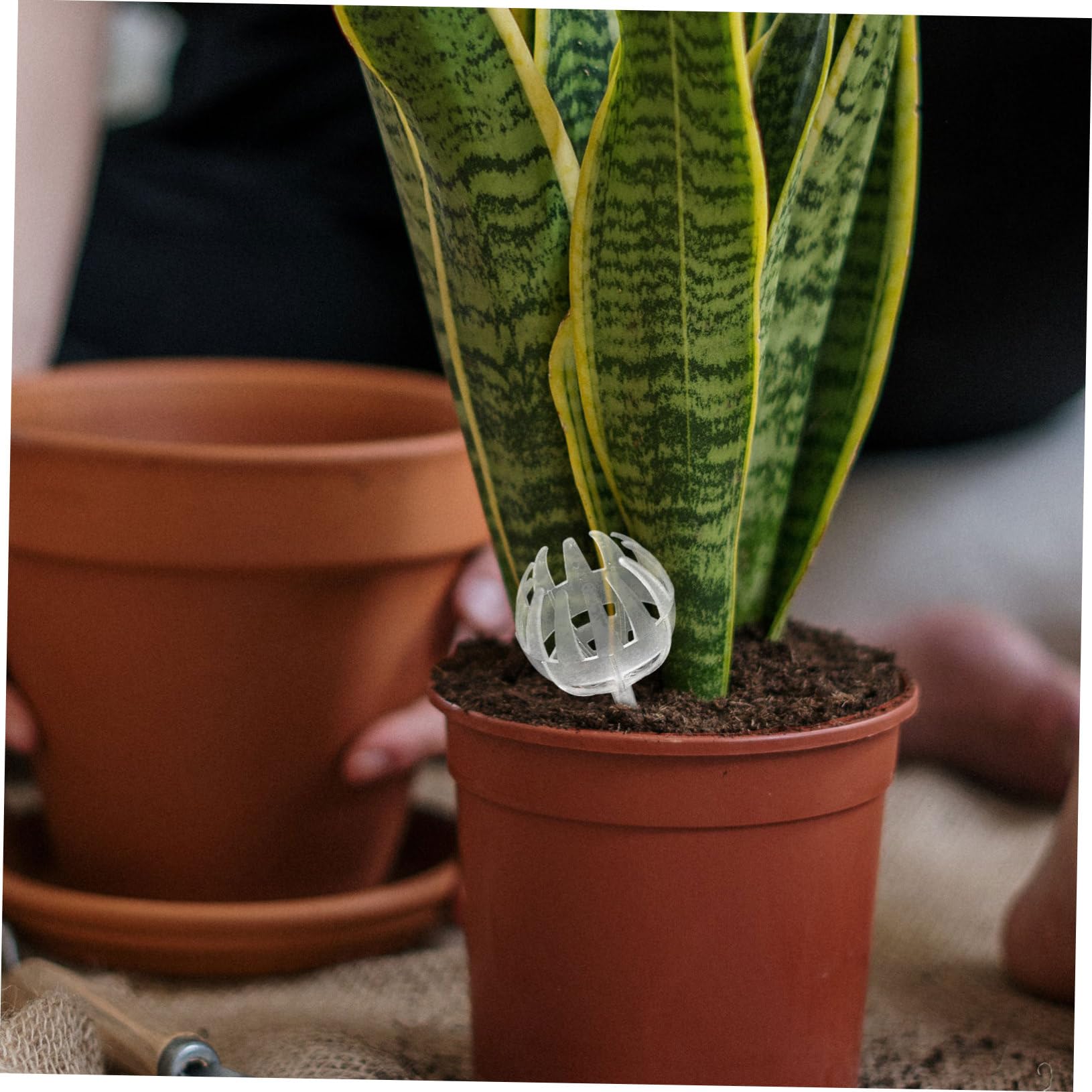 Toyvian 15 Pièces Boîtes de Fertilisation Plastique pour Plantes Bonsai Bacs avec Couvercle Outils de Jardinage Pratiques et Réutilisables