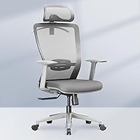 Vista 12 de FLEXISPOT Silla de oficina ergonómica clásica con respaldo alto, silla giratoria para computadora, sillas de escritorio ejecutivas, con soporte Gris
