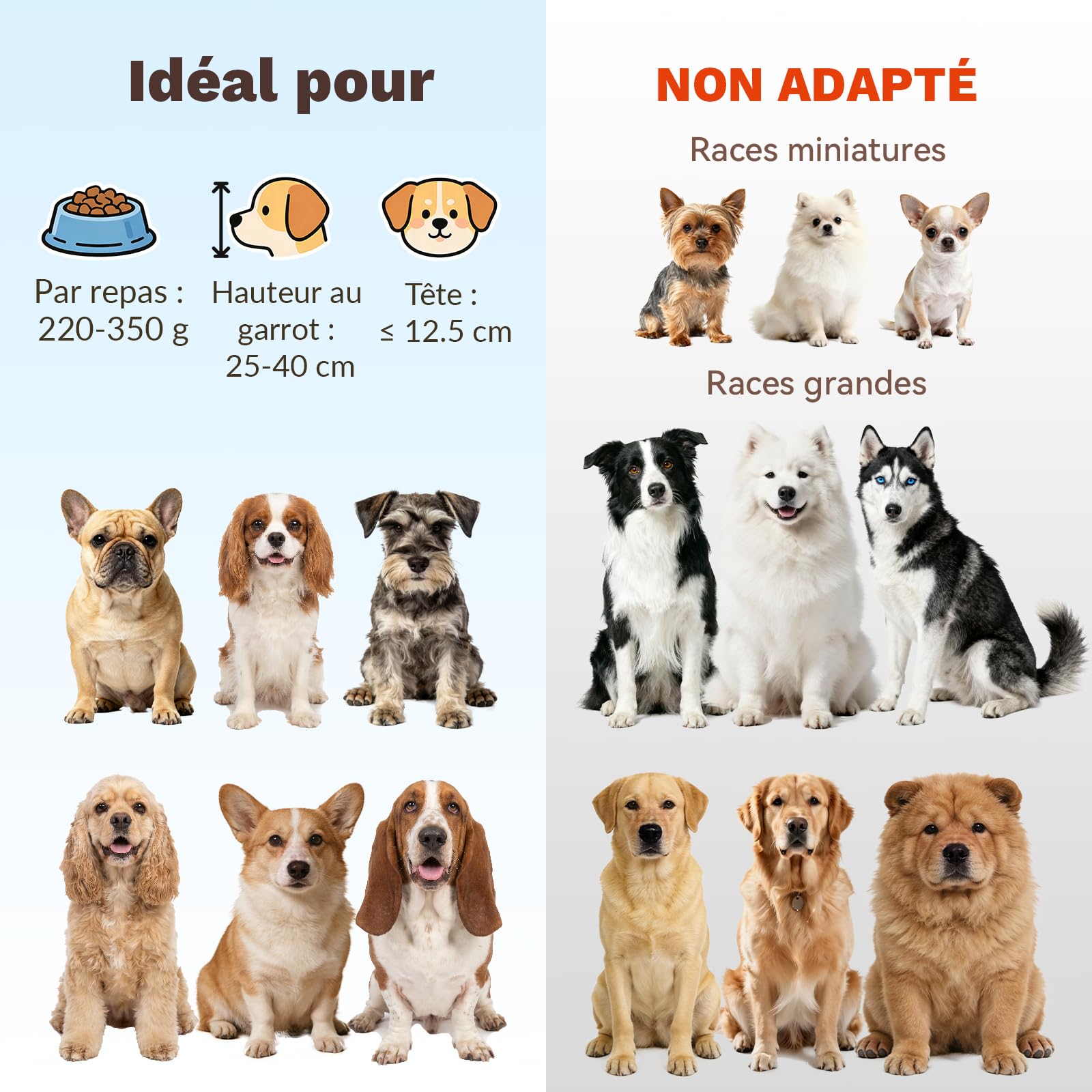 Gamelle Chien Surelevee en Ceramique - Bol pour Chien Surélevée avec Support en Métal - Ecuelle Chat Anti Vomissement - Gamelle Eau Nourriture pour Petits et Moyens Chiens et Grands Chats - 800 ML