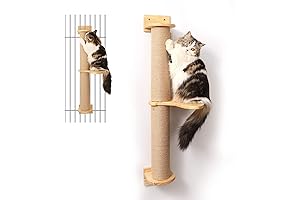 Cat Activity Tree with Scratching Posts, Wall Mounted Jute Scratcher Pine Hammock