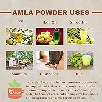 Vista 4 de Spicy Organic Amla Powder - 16 onzas (16.01 oz) Amalaki, USDA orgánico, sin OMG, 100% crudo y natural, probado en laboratorio para pureza, polvo