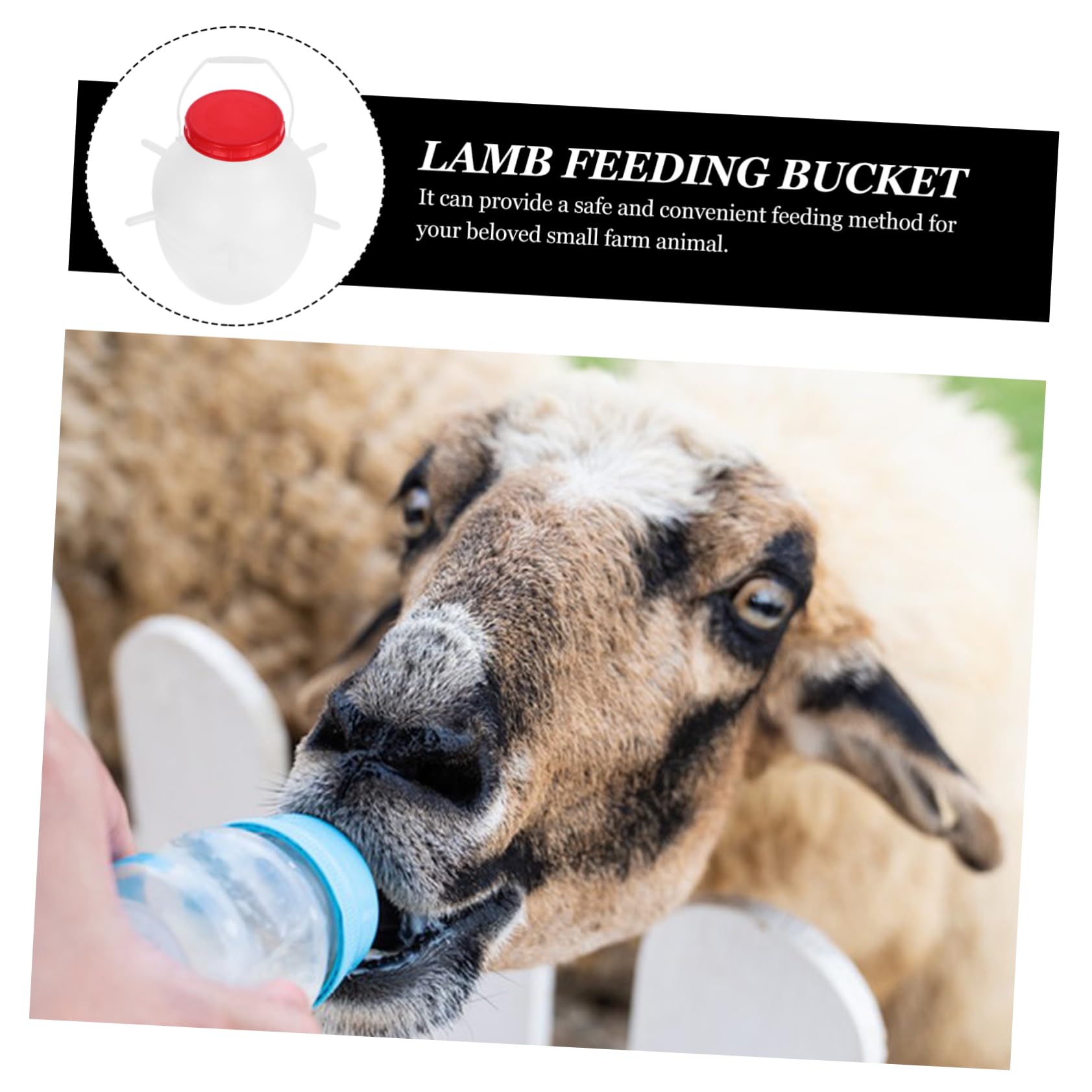 Biberon per Agnelli 8l in Plastica con Tettarelle in Silicone per Alimentazione di Capre, Vitelli, Animali Domestici di Piccola Taglia