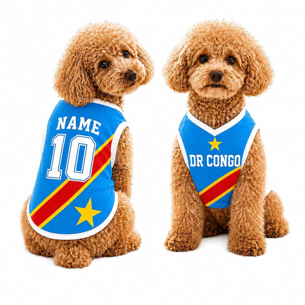Custom Dog Football Jersey with Name Number Logo, Personalised 2026 Pet Jersey, Breathable Quick Dry T-Shirt for Small Medium Large Dogs, Gift for Fans