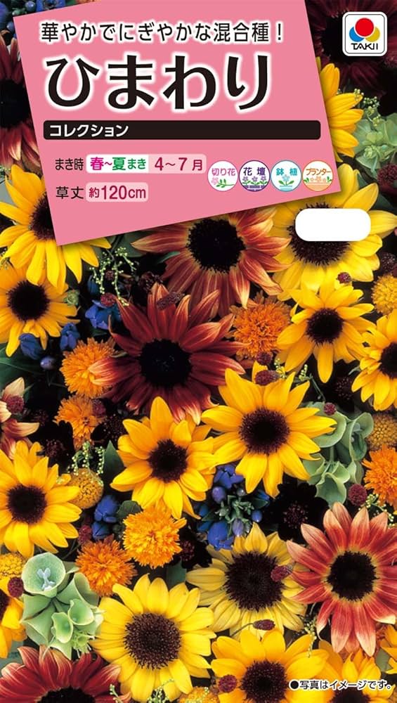 Amazon.co.jp: Takii Seedling Sunflower Collection : DIY