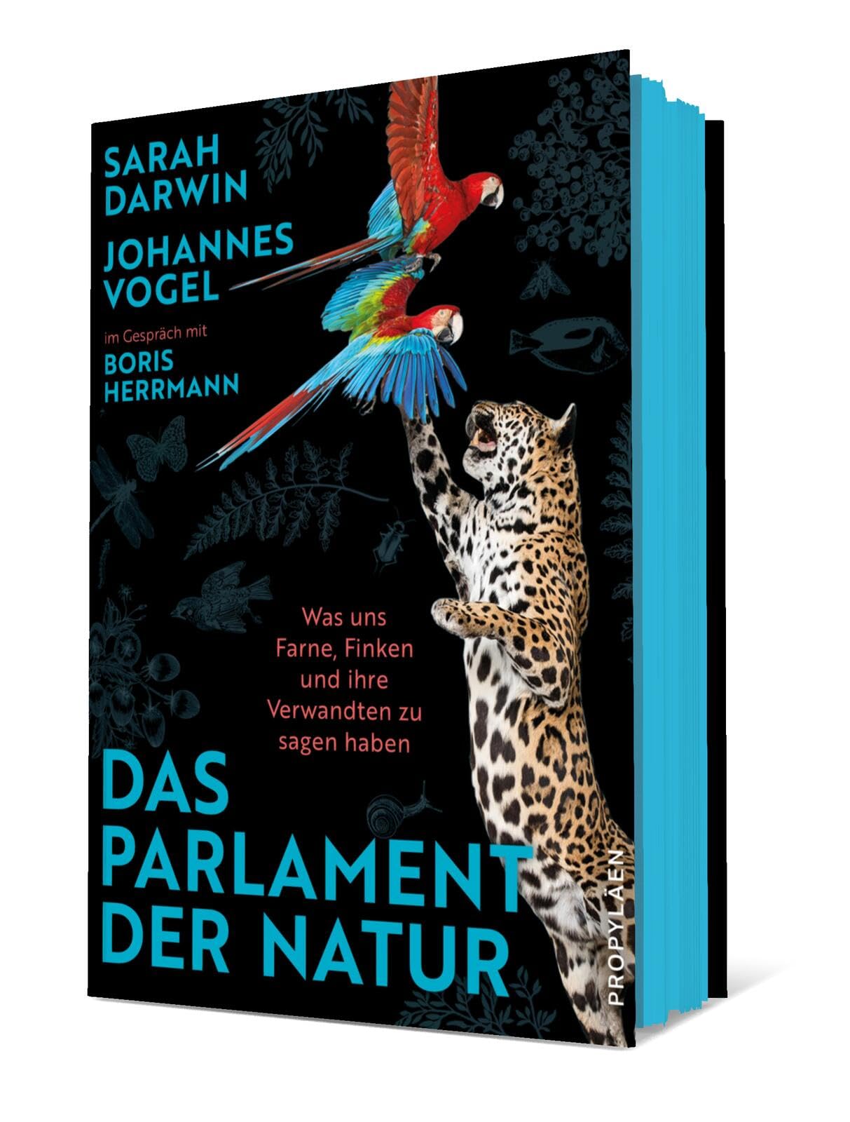 schmuck farn kaufen Ohrringe mit echten Farnblättern