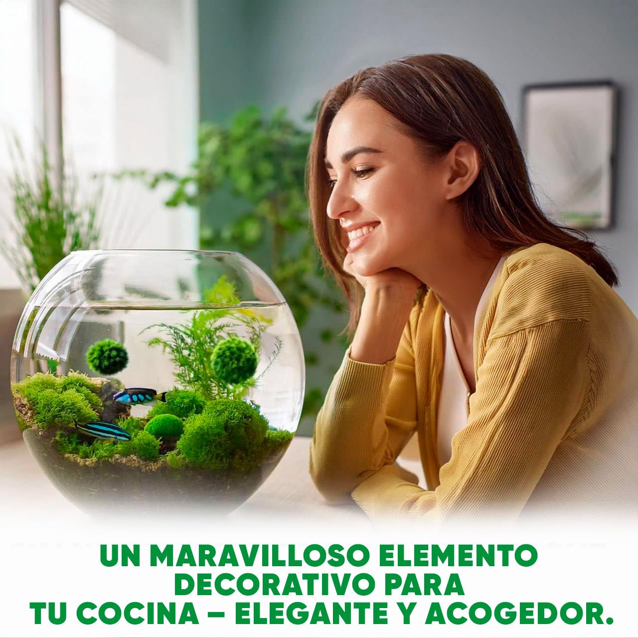 20 + 1 szt. kule mchu akwarium Cladophora aegagropila linneiae mech rośliny akwariowe rośliny wodne dekoracja rośliny prawdziwe marimo piłki mchu akwarium marimo moosball (1-3 cm)
