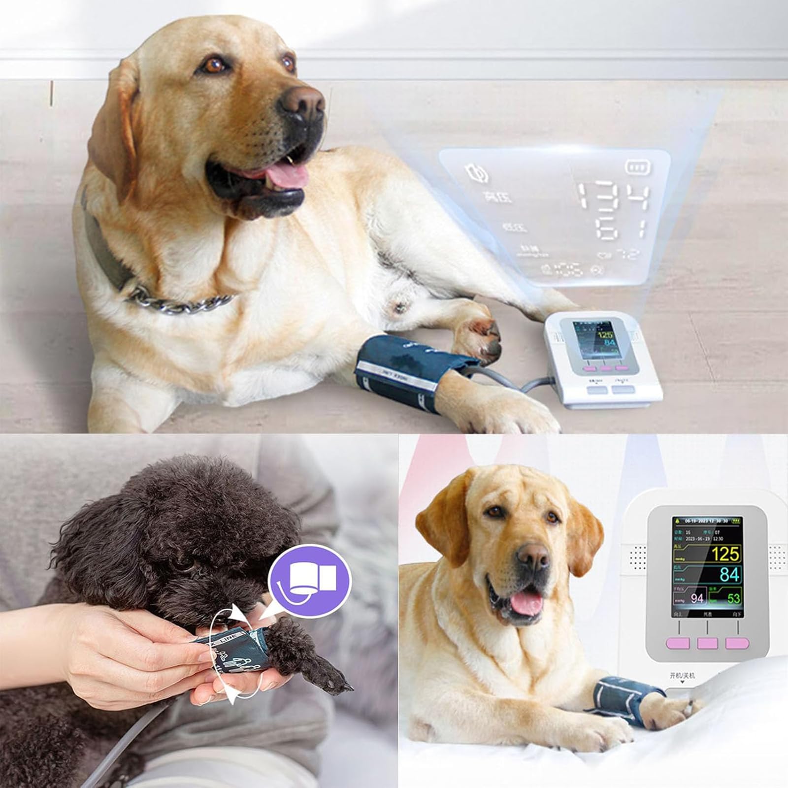 Digitales Elektronisches Blutdruckmessgerät Für Hunde Und Katzen Mit 3 Manschetten, 2,8-Zoll-LCD-Bildschirm Und 100 Speicherplätzen Für Messwerte, Für Hunde, Katzen Und Andere Haustiere