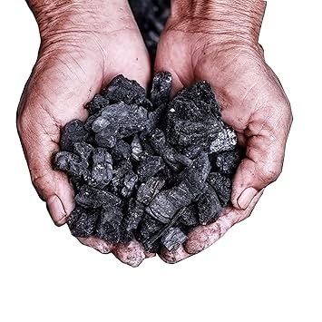 Pmw - Eco-Friendly Natural Wood Charcoal Briquettes_1 Kg for Barbeque_Grilling_Broiling_Dehumidification TVCBB1