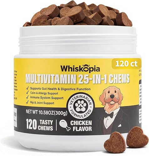 25-in-1 Dog Vitamins Supplements Multivitamin Chewable — main product photo from Amazon listing (ASIN B0G5PN5Q81)
